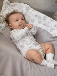 2024-08-27_12-04-30 (1)