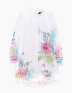 2025-02-03_14-16-13 (1)