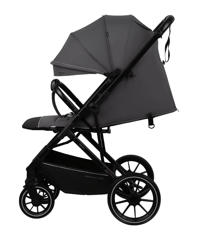 2026-02-06_12-30-28 (1)