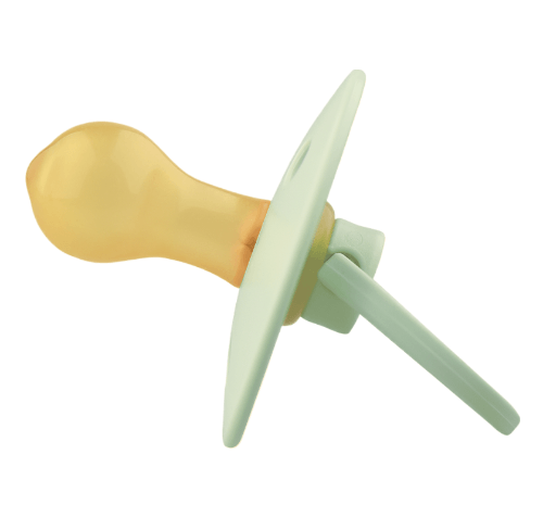 2024-09-23_14-20-36-fotor-bg-remover-20240923142136 (1)