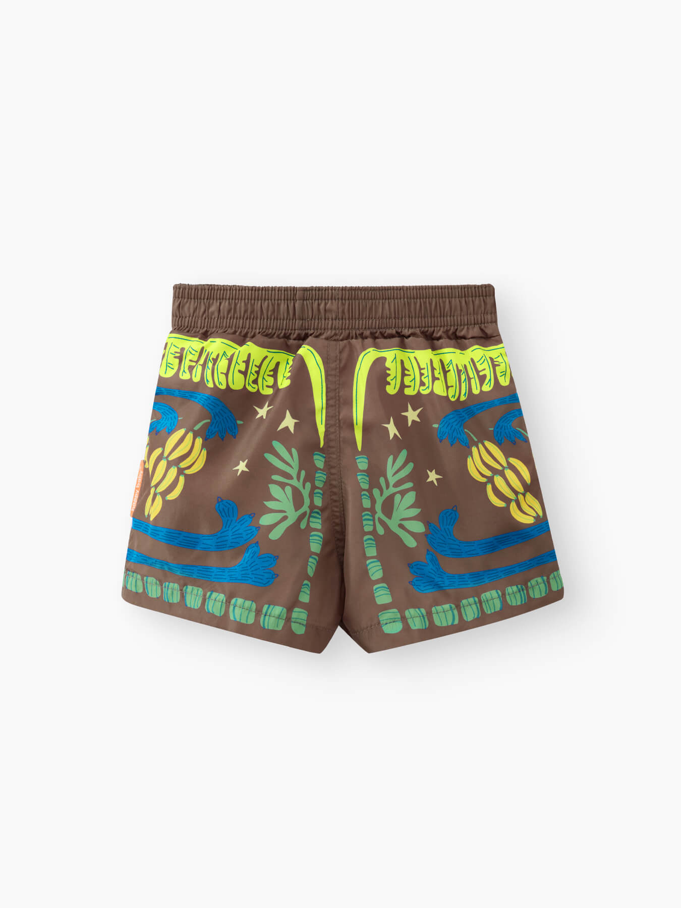 50647_brown_tropics_2 (1)