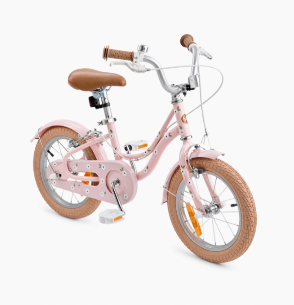 2026-02-25_13-10-10 (1)