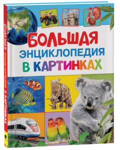 2025-10-30_15-39-23 (1)