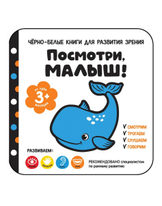 du7y1zk2lzg2r3p11w9a8g4b9ebaeiia_95 (1)