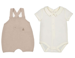 1609-бежкор (1)