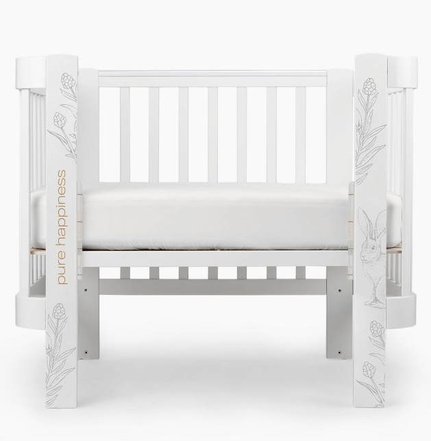 2024-03-01_13-16-12 (1)