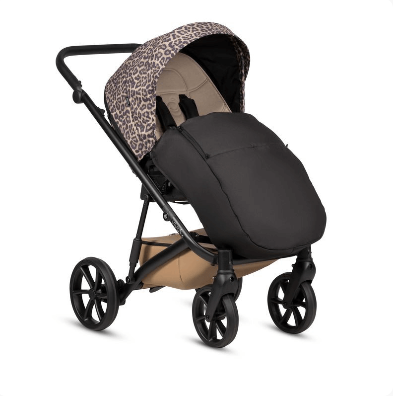 2026-03-03_11-58-51 (1)