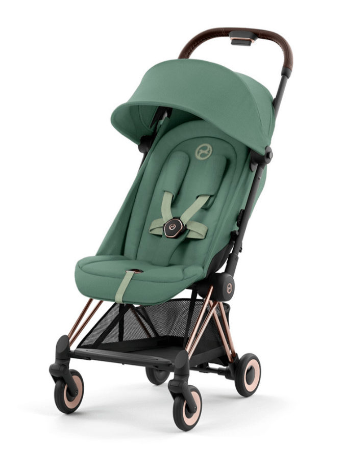 2026-02-18_12-50-00 (1)