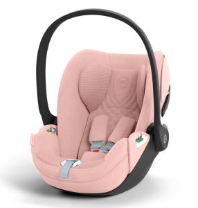 2025-11-11_10-41-26 (1)