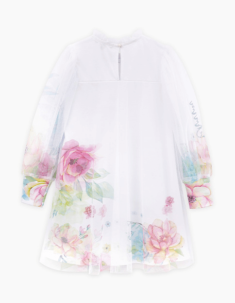 2025-02-03_14-16-23 (1)