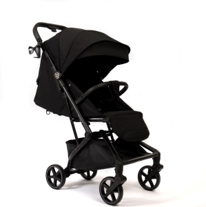 2025-01-21_16-32-19 (1)