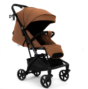 2025-01-21_16-35-18 (1)