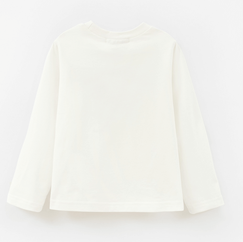 2025-11-25_11-30-50 (1)