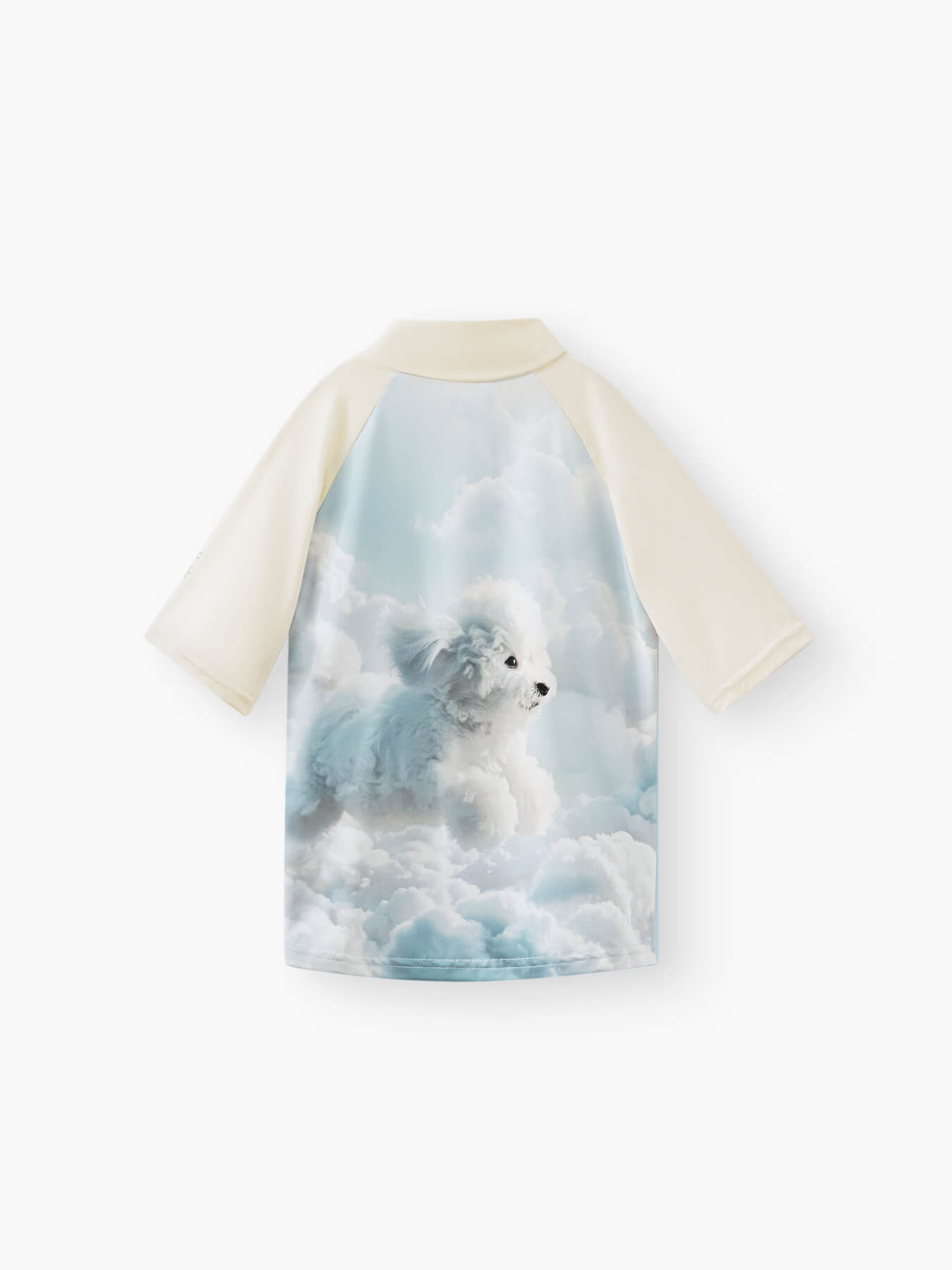 50661_light_blue_air_dog_3 (1)