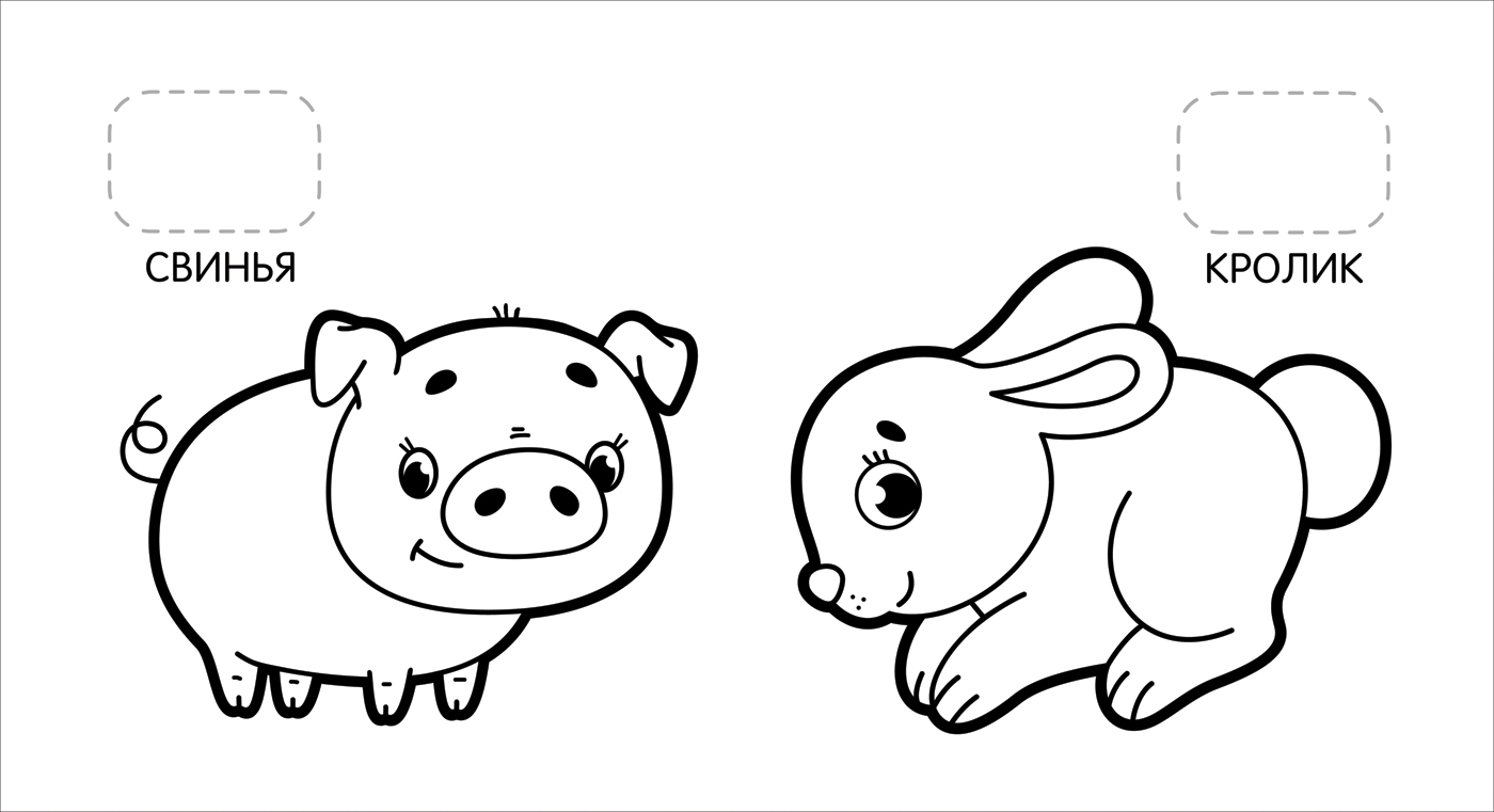 97853530897282b08dbae826