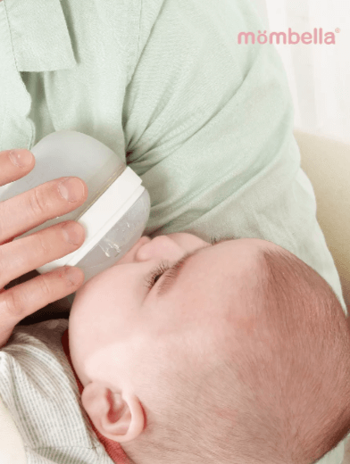 2023-11-01_13-59-07 (1)