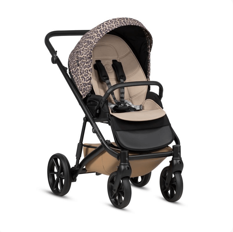 2026-03-03_11-58-34 (1)