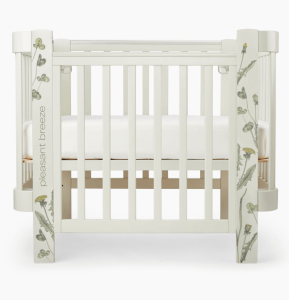 2024-03-11_17-05-16 (1)