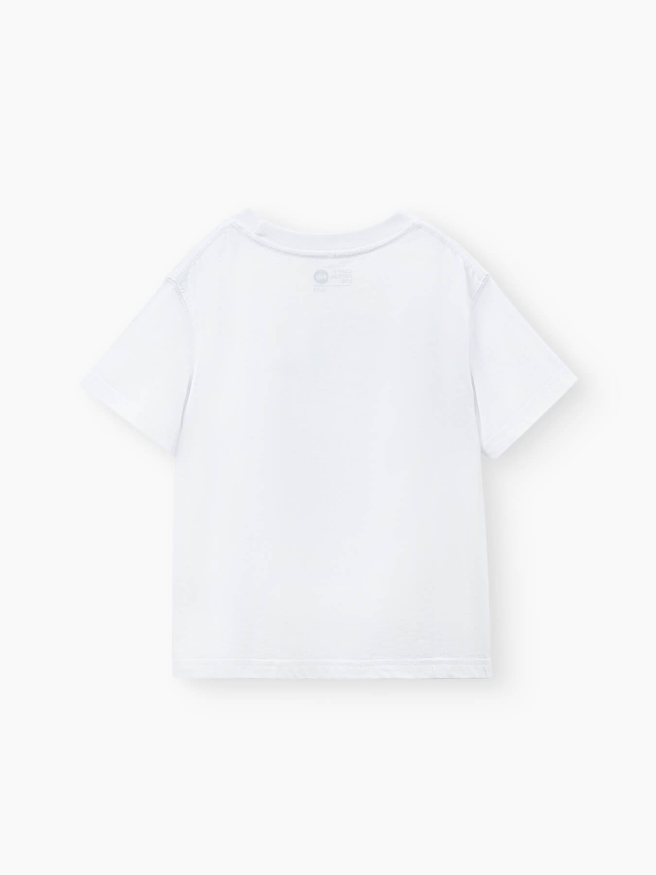 88297_belaya_sobaka_v_kepke_3 (1)