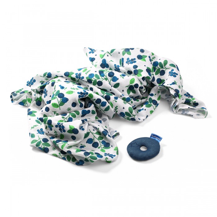 babyono-nabor-s-pogremushkoj-chernika-2585753