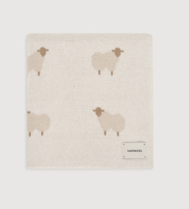 2023-09-25_11-52-42 (1)