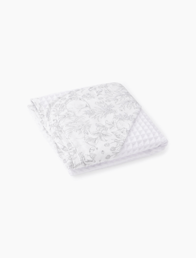 2024-07-18_12-30-58 (1)