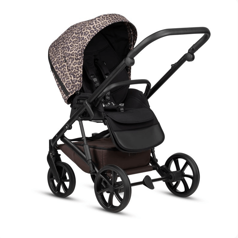 2026-03-03_11-59-47 (1)