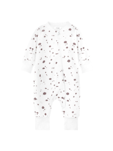 7756384_СОВ__1_-fotor-bg-remover-20241011134059 (1)