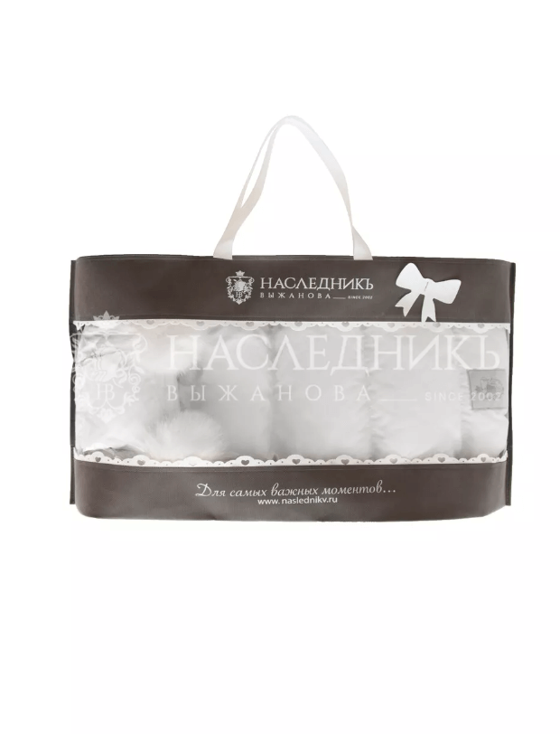 2024-11-12_16-32-25 (1)