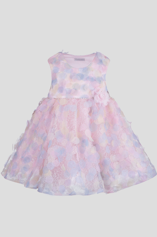 2025-10-16_10-50-01 (1)