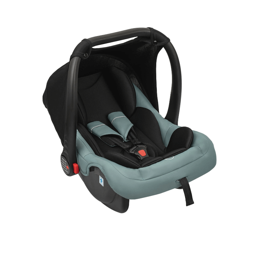 2024-11-15_13-17-58 (1)