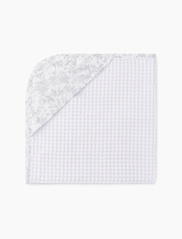 2024-07-18_12-31-15 (1)