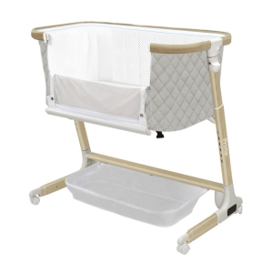 2024-11-19_12-28-00 (1)