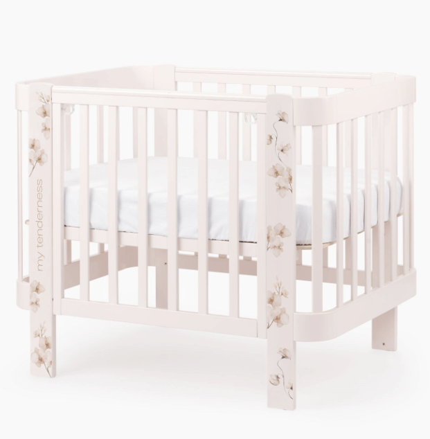 2024-04-25_11-49-54 (1)