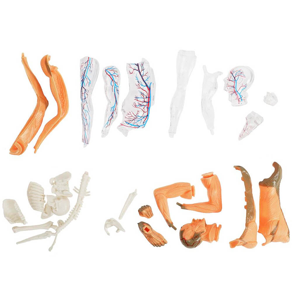 abc48468_24eb_11f0_a5ca_306893135940_56047ca2_cf7a_11f0_ae04_81c513a4b4b7 (1)