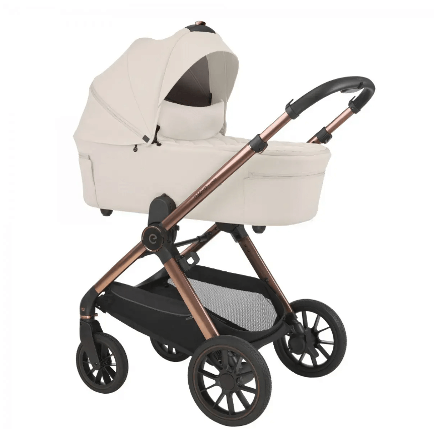 2026-01-28_11-59-21 (1)