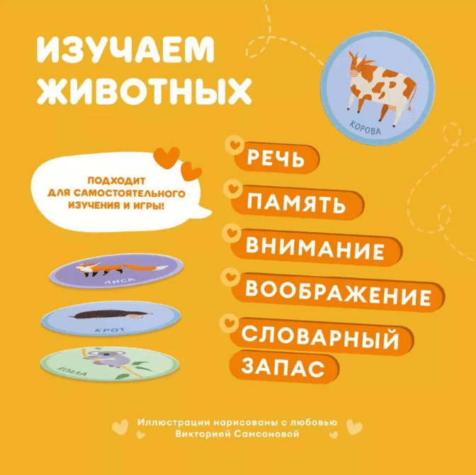 2024-08-28_13-05-39 (1)