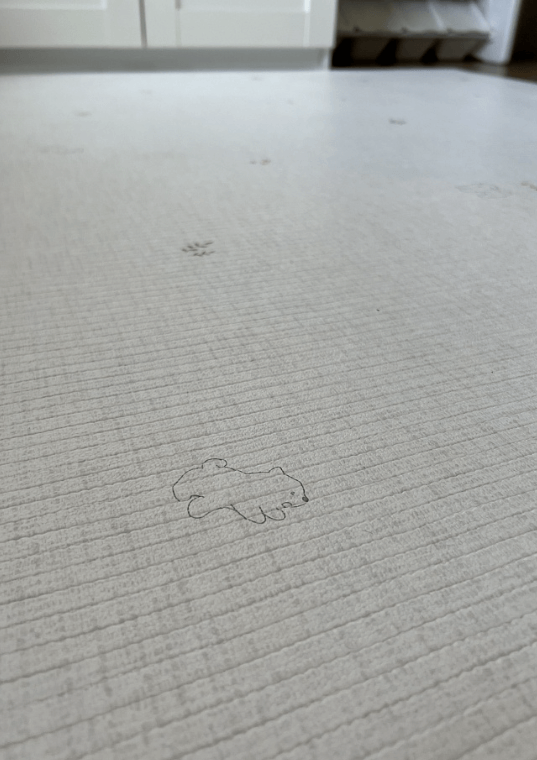 2026-02-17_10-46-34 (1)