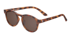 2025-04-29_17-36-46 (1)