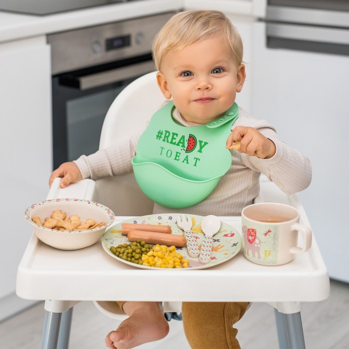 babyono-silikonovyj-s-reguliruemoj-zastezhkoj-ready-to-eat-2585660