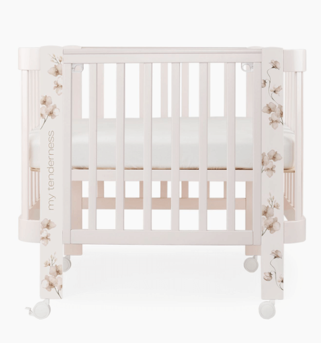 2024-04-25_11-50-19 (1)