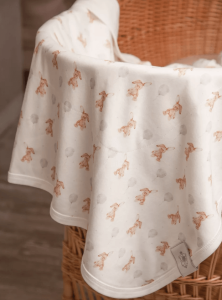 2025-01-28_18-09-42 (1)