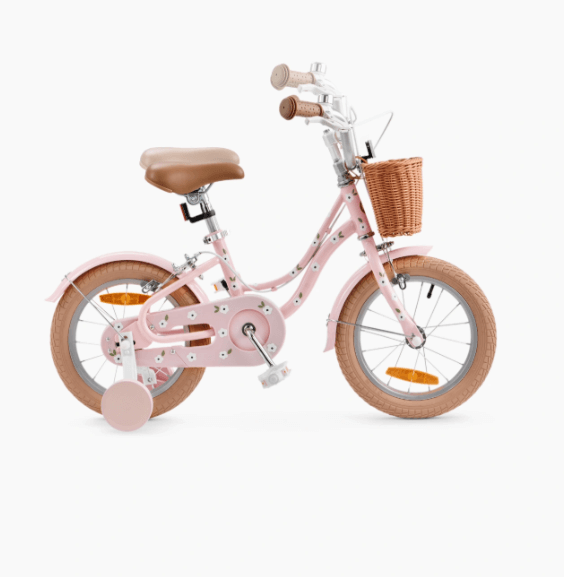 2026-02-25_13-09-59 (1)