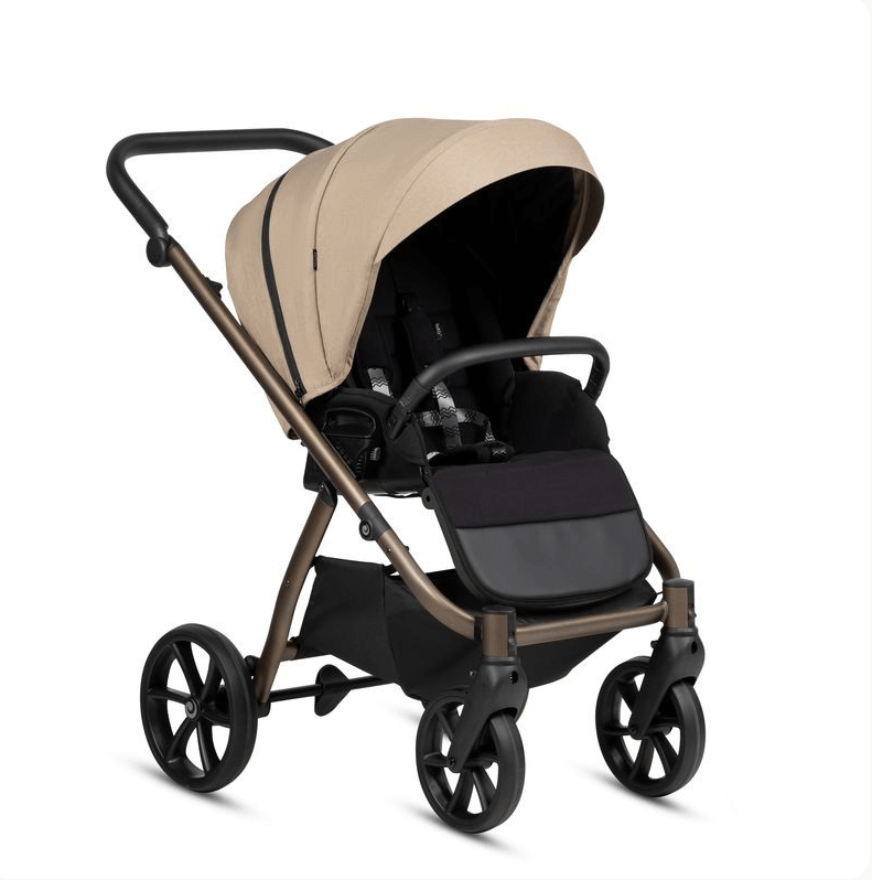 2025-12-30_13-03-01 (1)