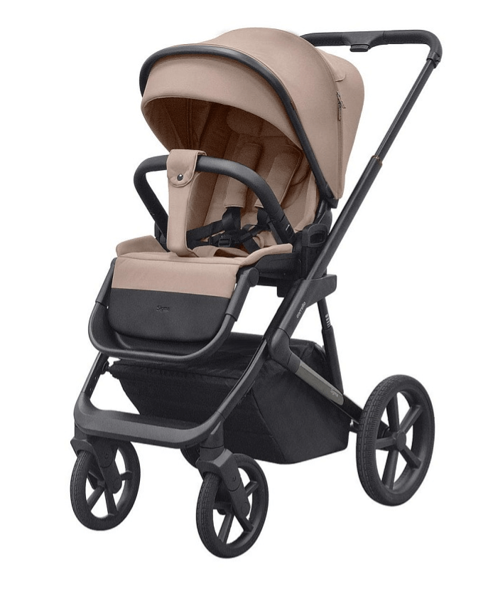 2025-04-28_13-25-17 (1)