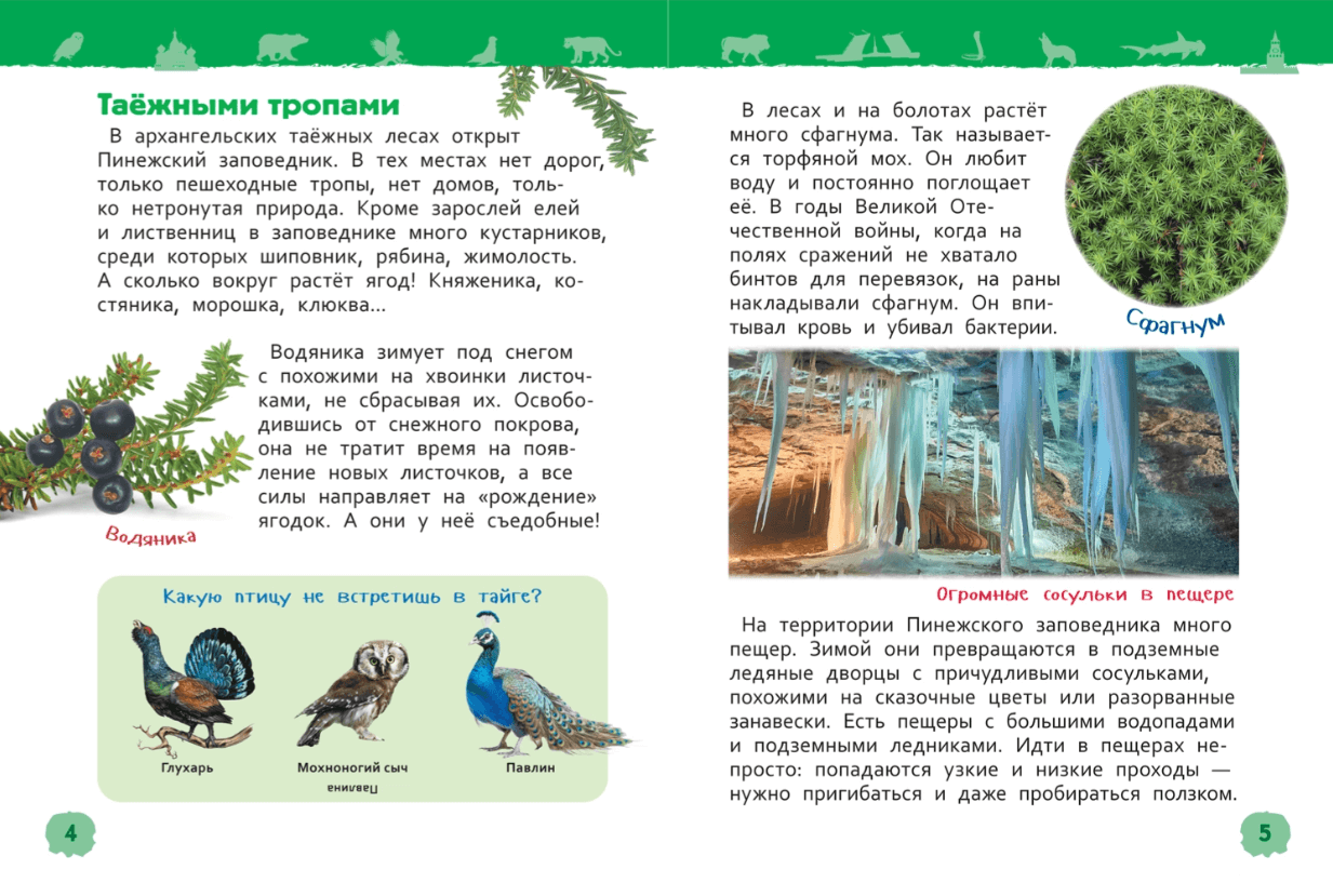 2025-10-31_14-09-30 (1)