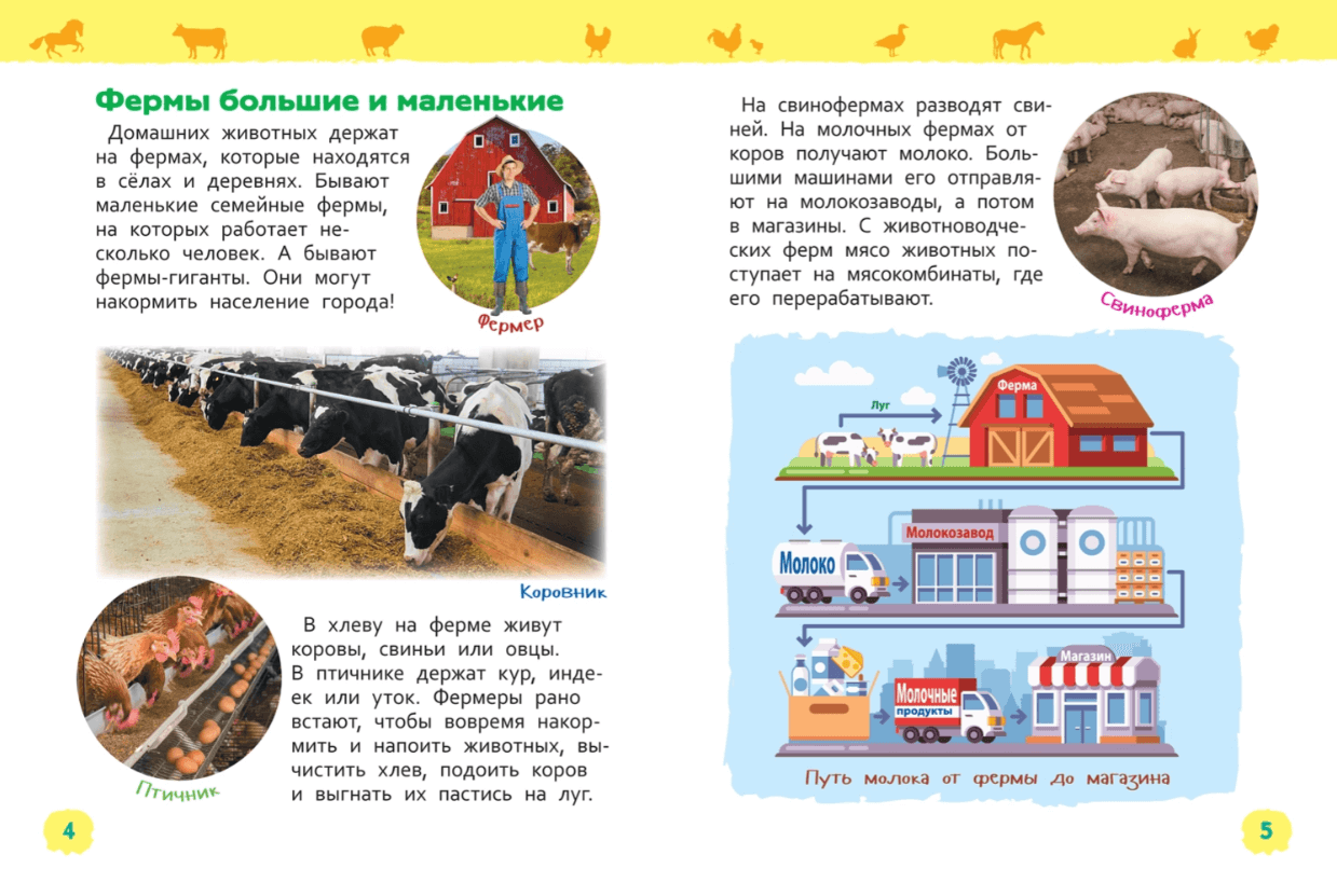 2025-08-28_14-37-15 (1)