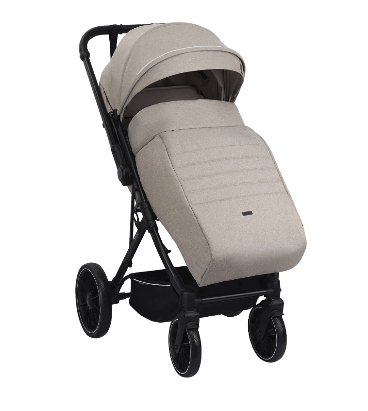 2025-01-27_13-33-17 (1)