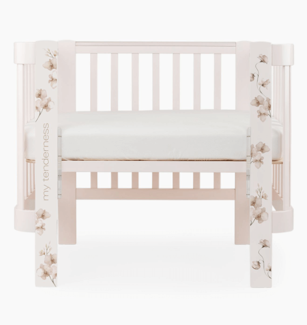 2024-04-25_11-50-34 (1)