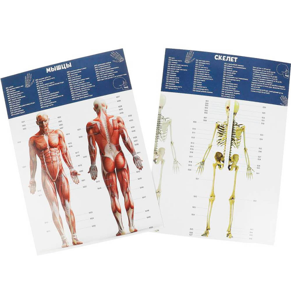 abc48468_24eb_11f0_a5ca_306893135940_56047f3a_cf7a_11f0_ae04_81c513a4b4b7 (1)